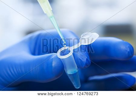 sample tubes in female hands and pipette