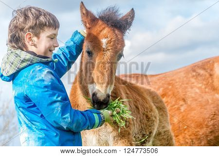 outdoor portrait of young european boy feeding horse on farm