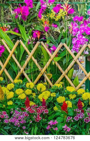 Picket fence surrounded by flowers in a front yard on summer.