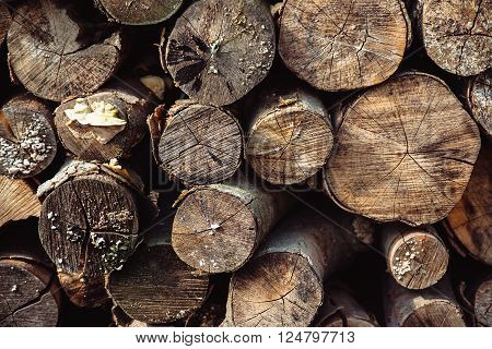 Pile of chopped fire wood prepared for winter