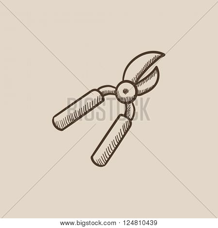 Pruner sketch icon.