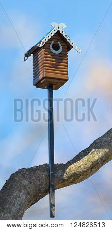 Nesting box. Carved wooden nest box handmade. Wooden house for birds on the tree. 