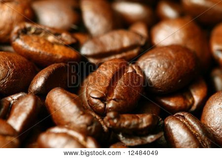 เมล็ดกาแฟ