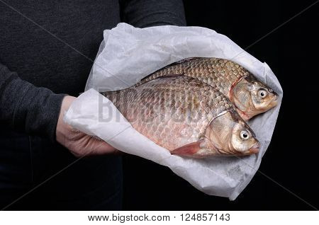 Man holding fresh crucian carp close-up on a folded paper
