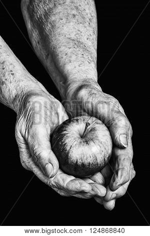 Old hands holding an apple on black background