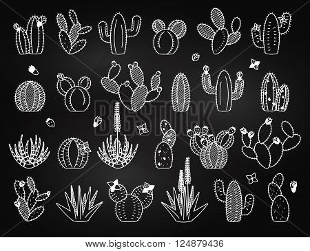 Vector Set of Chalkboard Cactus and Succulent Plants