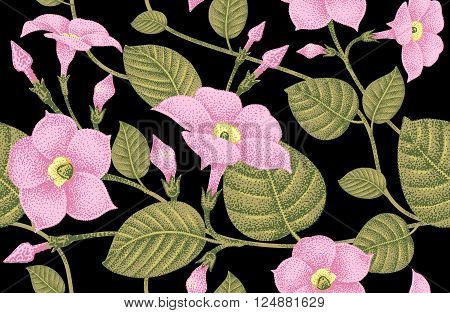 Vector seamless floral pattern. Garden flower bindweed. Illustration of pink flowers and green leaves on a black background.