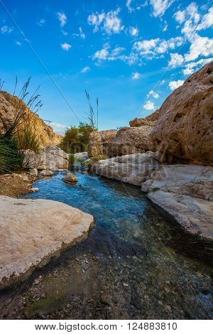  Typical landscape of the Middle East. The stream of cold pure water flows through the beautiful gorge Ein Gedi, Israel