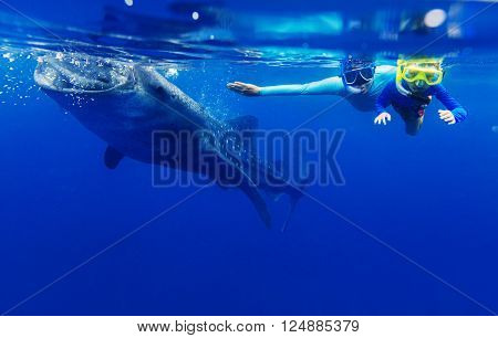 Cute boy with his mother snorkeling with whale shark in the sea, Philippines