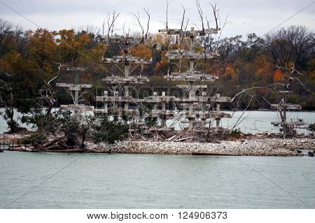 The Lake Renwick Heron Rookery Nature Preserve, in Plainfield, Illinois, provides nesting platforms for herons on an island in Lake Renwick,