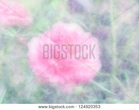 abstract flowers background flowers made with filters