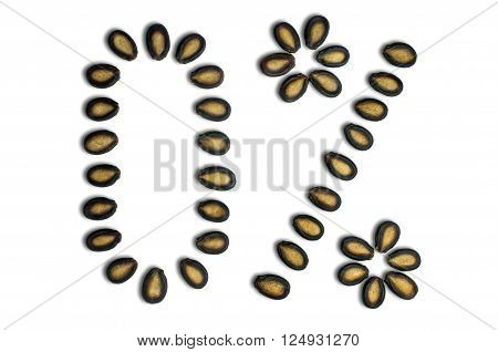 Watermelon Seeds On White Background