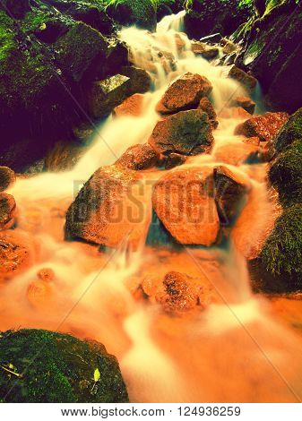Cascades In Rapid Stream Of Mineral Water. Red Ferric Sediments On Big Boulders Between Green Ferns.