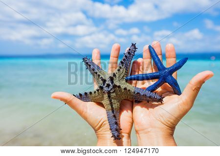 Two beautiful colorful starfish in girl hands in blue bright summer water.