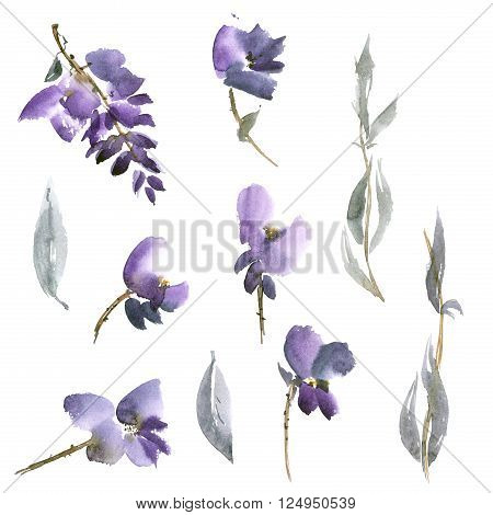 Watercolor and ink illustration of violet flowers in style sumi-e u-sin gohua. Oriental traditional painting.