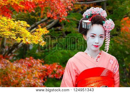 KYOTO JAPAN - NOVEMBER 22 2015: Unidentified 