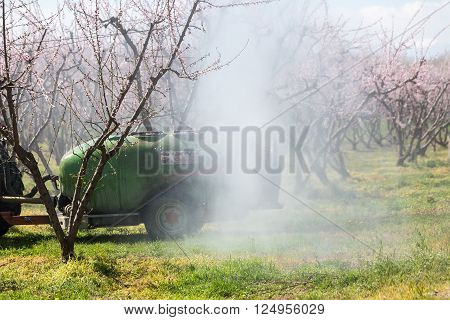Veria Greece - March 19 2016: Farmer with tractor using a air blast sprayer with a chemical insecticide or fungicide in the orchard of peach trees in northern Greece