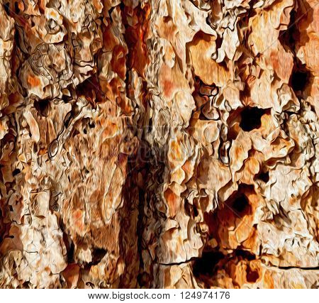 Barck In The Abstract Close Up Of A Tree Color And Texture