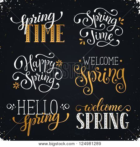 Hand written Spring time phrases in white and gold. Greeting card text templates on blackboard. Welcome Spring lettering in modern calligraphy style. Hello Spring wording.