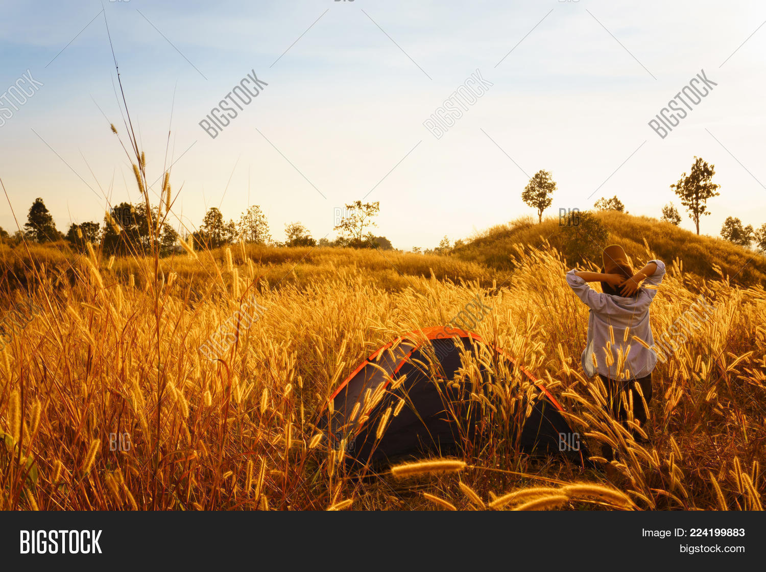 Image Preview