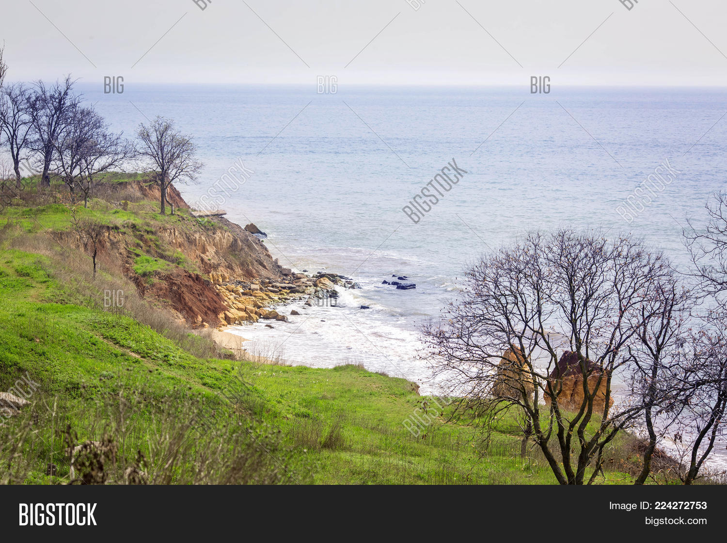 Image Preview