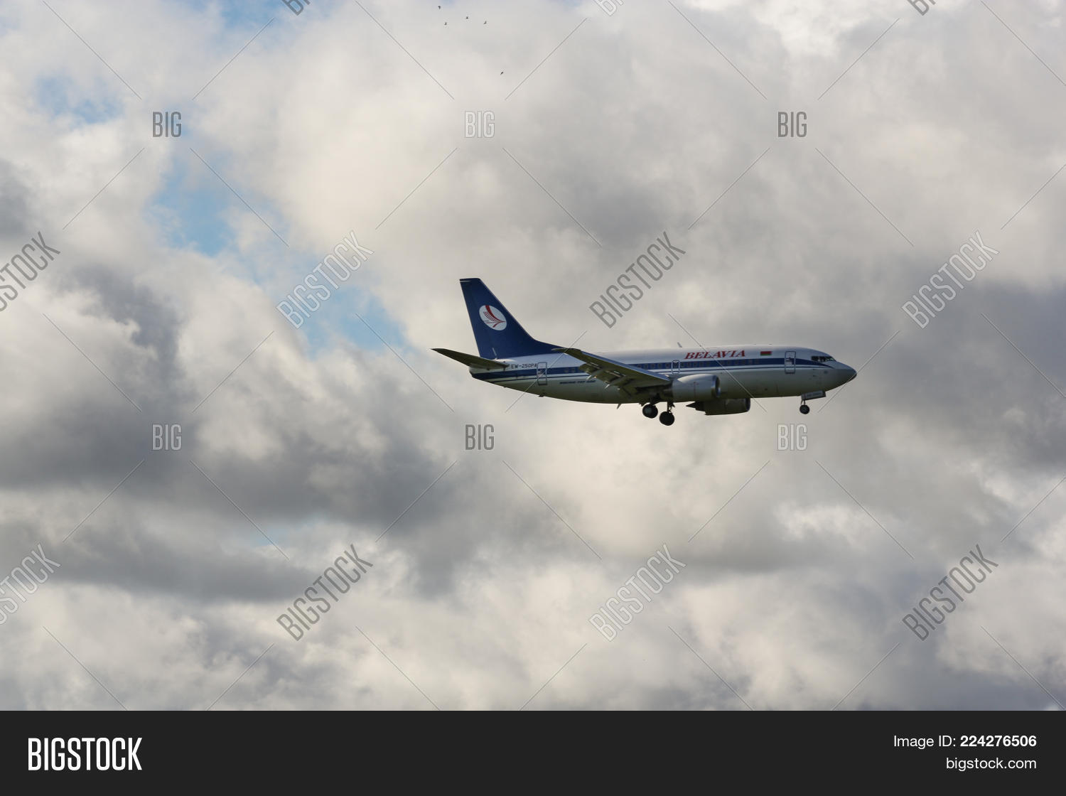 Image Preview