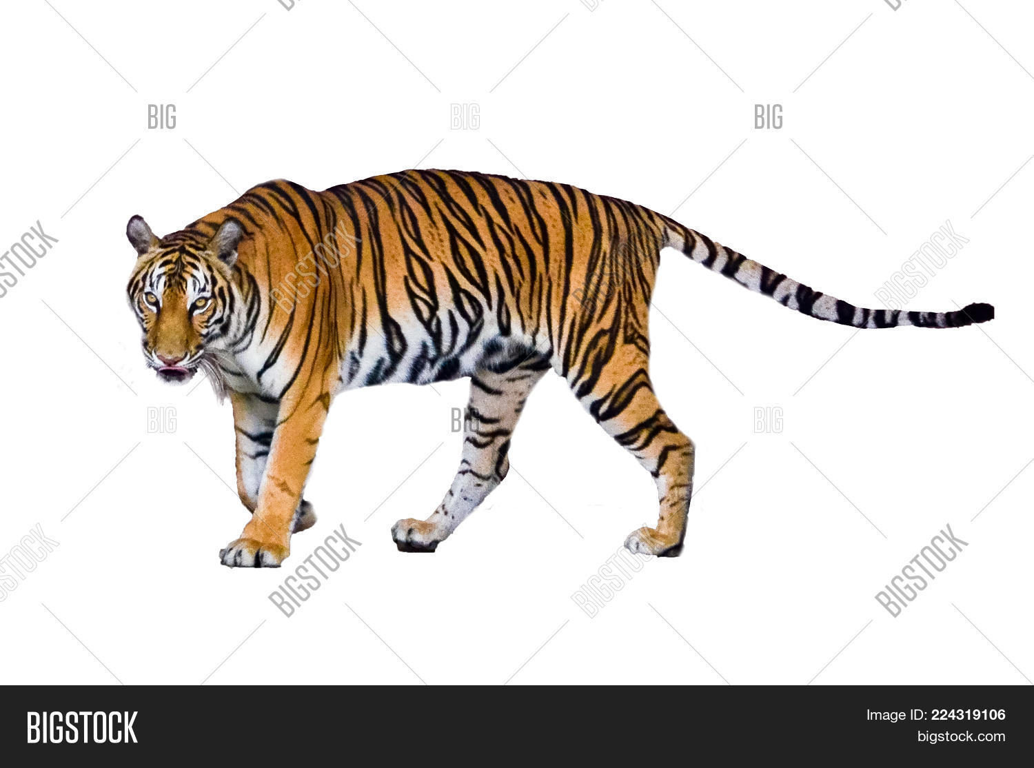 Image Preview