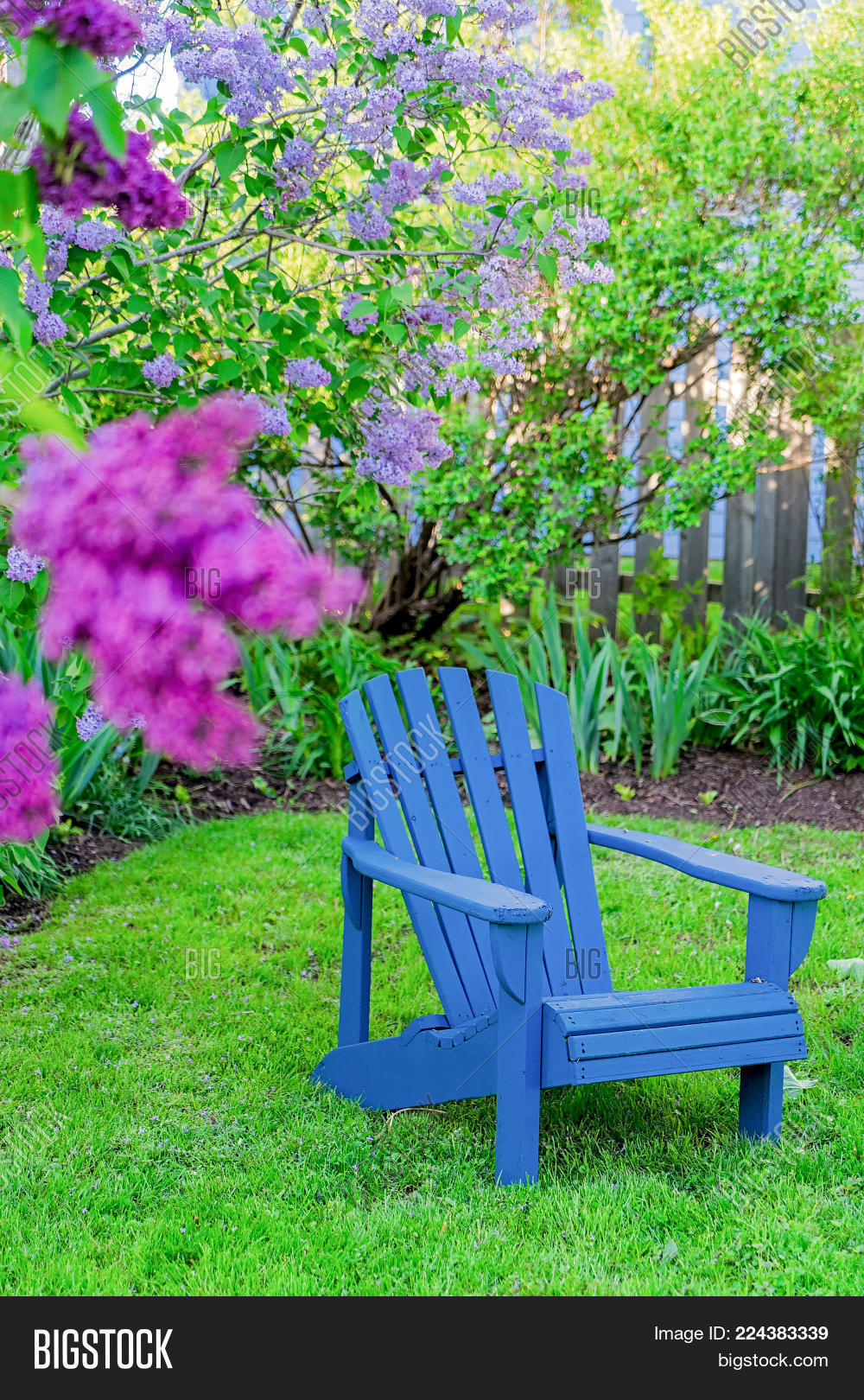 Adirondack Chair Image & Photo (Free Trial) Bigstock