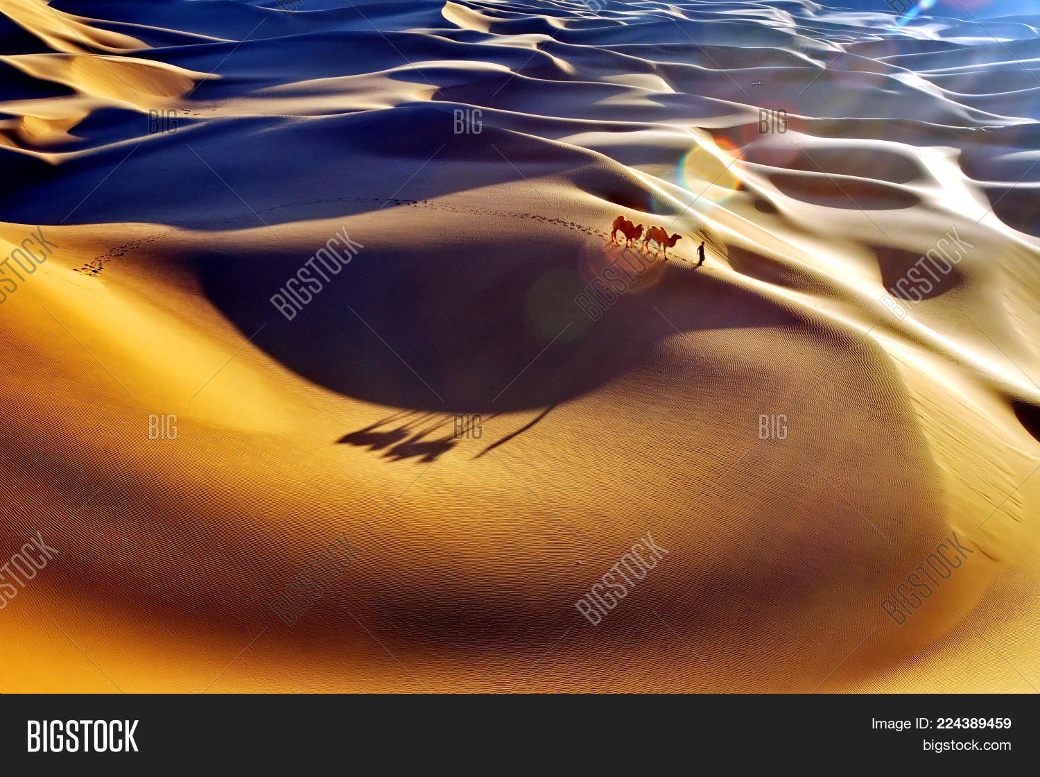 Image Preview