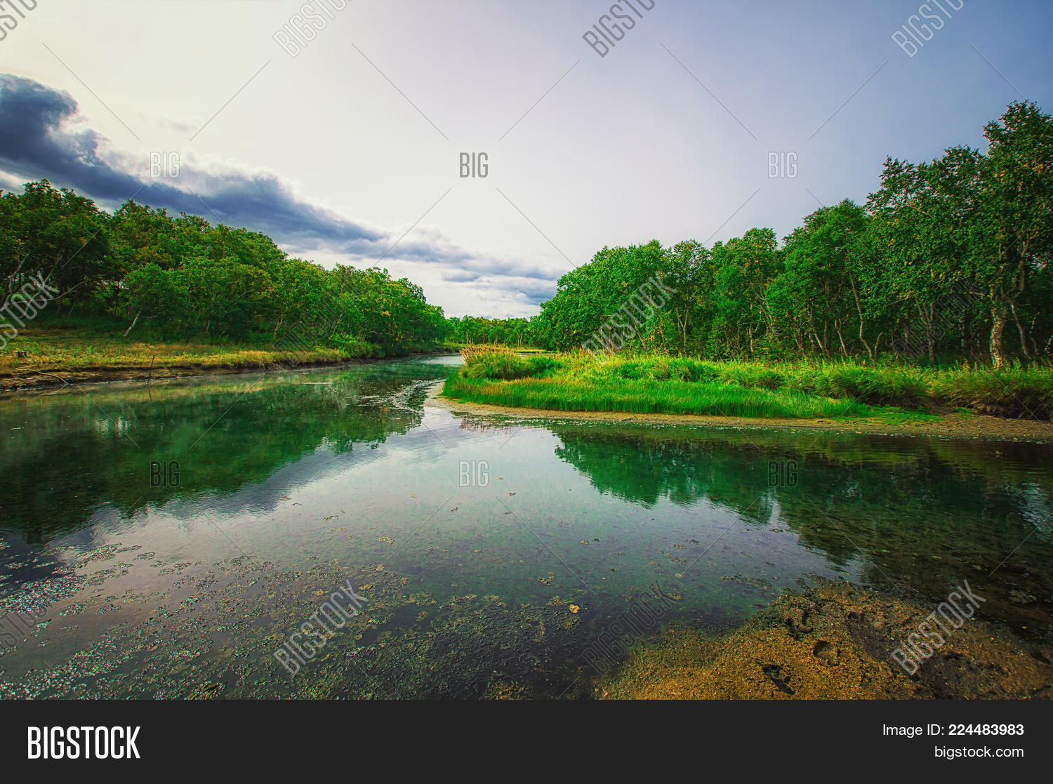 Image Preview