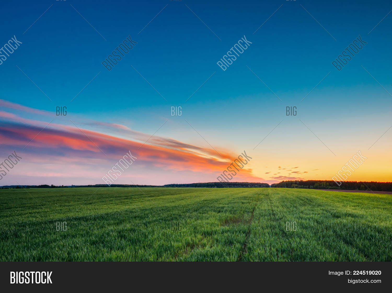 Image Preview