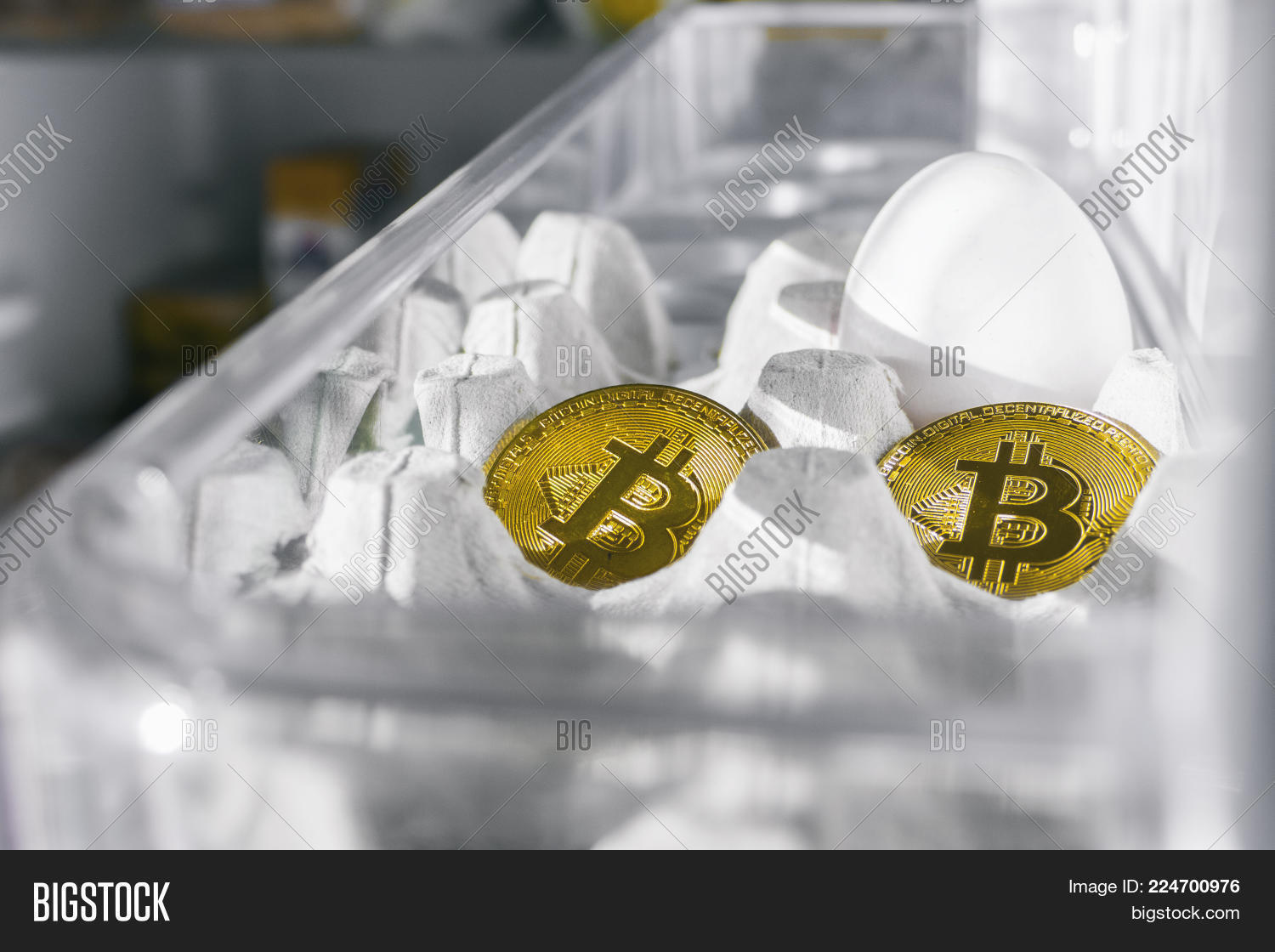 food coin cryptocurrency food coin cryptocurrency