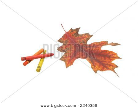 Verf de herfst