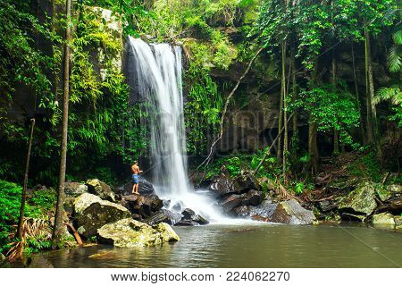 Curtis Falls a popular waterfall in Tamborine National Park on Mount Tamborine in the Gold Coast Hinterland, Queensland, Australia