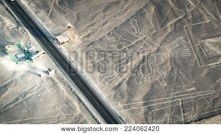 Nazca, Peru - August 2017: Tree figure as seen in the Nasca Lines, Nazca, Peru