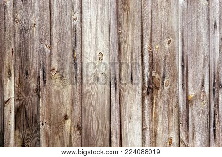 Weathered wooden fence texture with old rusty nail heads