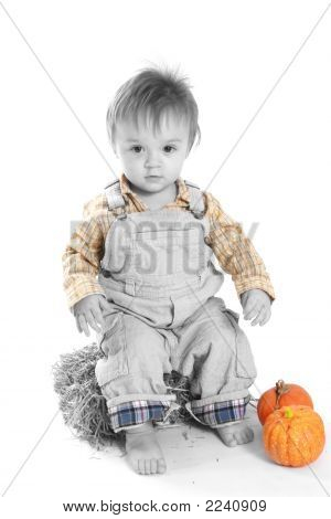 Boer Baby In oktober