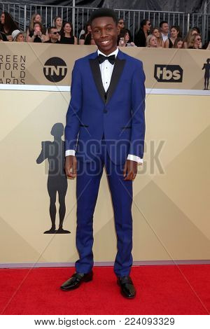 LOS ANGELES - JAN 21:  Niles Fitch at the 24th Screen Actors Guild Awards - Press Room at Shrine Auditorium on January 21, 2018 in Los Angeles, CA