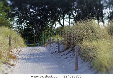 Beach with sand on the German Baltic Sea coast with dunes