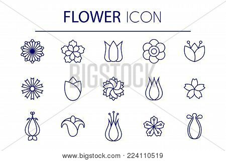 Flower lineart set isolated on white background. Stock vector illustration of widely spread flowers, floral elements in geometric minimal style.