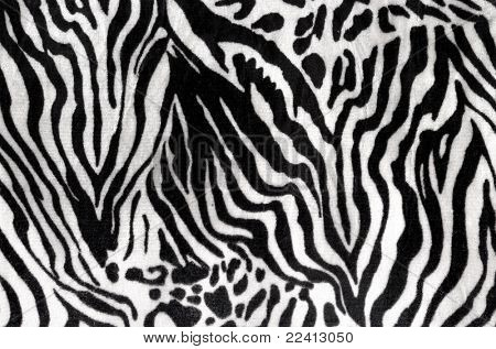   Trama in bianco e nero di pelle di zebra