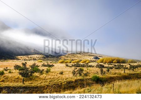 Mountain fields landscape in New Zealand alps