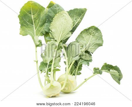 Two kohlrabi (German turnip or turnip cabbage) bulbs with fresh long leaves isolated on white background raw