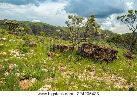 National Park Serra Canastra Brazil