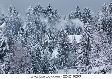 winter at Colibita lake, Romania