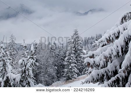 winter at Colibita lake, Romania