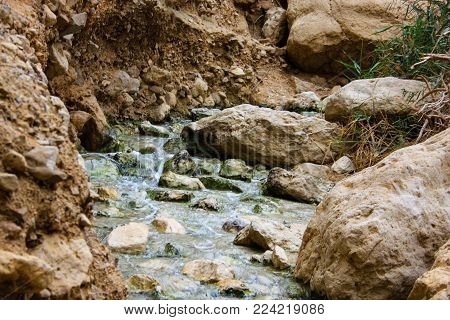 Wadi Bokek Trek in the Judaen desert nature reserve in Israel
