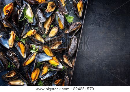 Traditional barbecue Italian blue mussel in white wine as top view in a tray with copy space right
