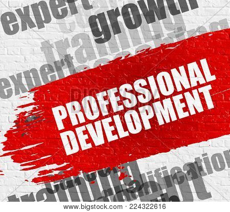 Education Concept: Professional Development on Red Distressed Brush Stroke. Professional Development on the White Brickwall Background with Word Cloud Around It.