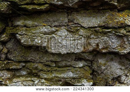 Stones covered with moss. Old wall of the building. Green moss